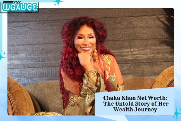 Chaka Khan Net Worth The Untold Story of Her Wealth Journey