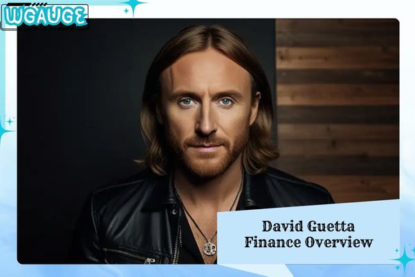David Guetta Finance Overview 