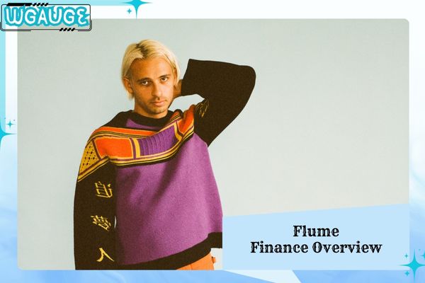 Flume Finance Overview