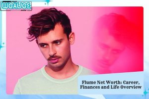 Flume Net Worth_ Career, Finances and Life Overview