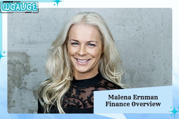 Malena Ernman Finance Overview