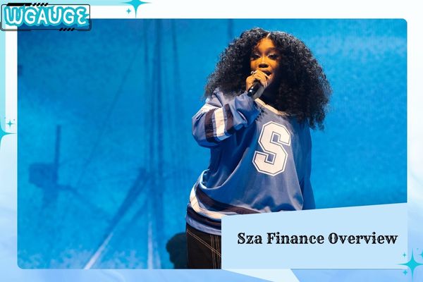 Sza Finance Overview
