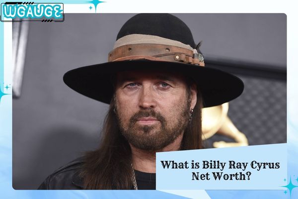 What is Billy Ray Cyrus Net Worth