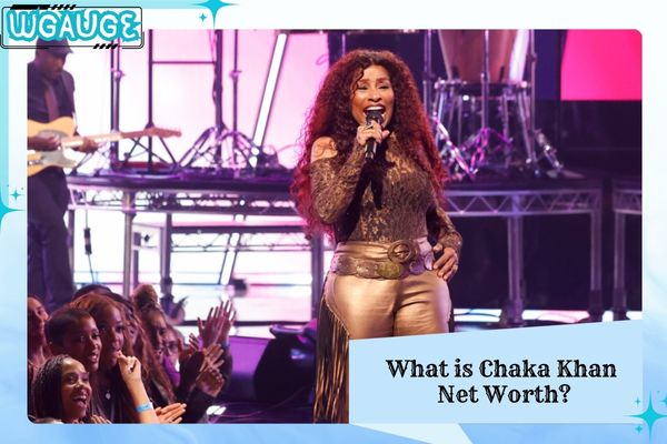 What is Chaka Khan Net Worth