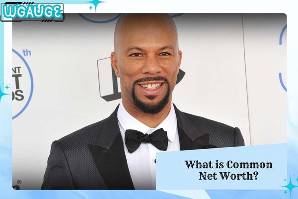What is Common Net Worth