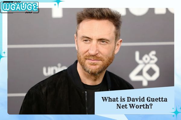What is David Guetta Net Worth