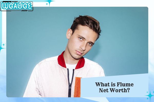 What is Flume Net Worth