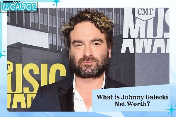 What is Johnny Galecki Net Worth