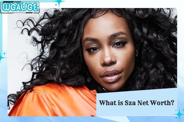What is Sza Net Worth