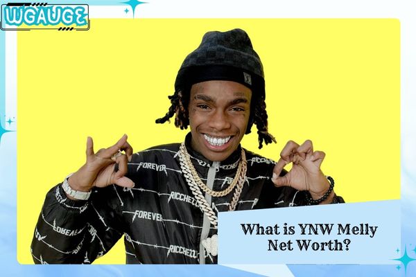 What is YNW Melly Net Worth