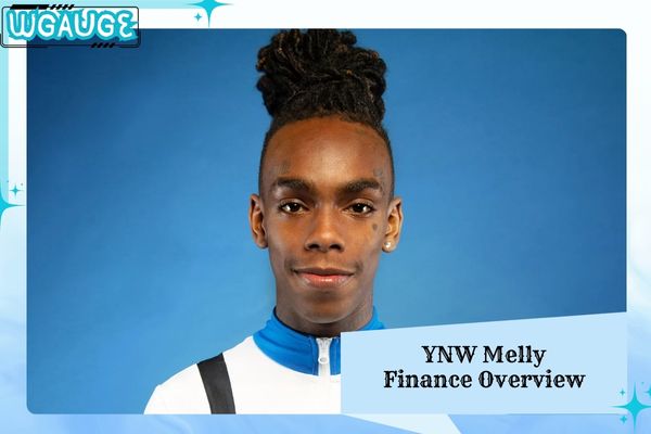 YNW Melly Finance Overview 